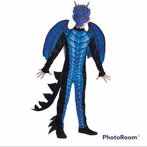 DEADLY DRAGON child’s 4 piece costume New XL